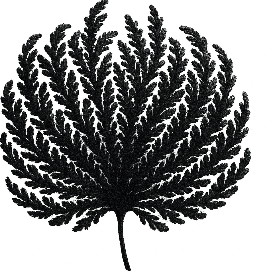Black and white botanical illustration of a desert rose leaf fan with fine, feather-like fronds radiating symmetrically from a central stem.