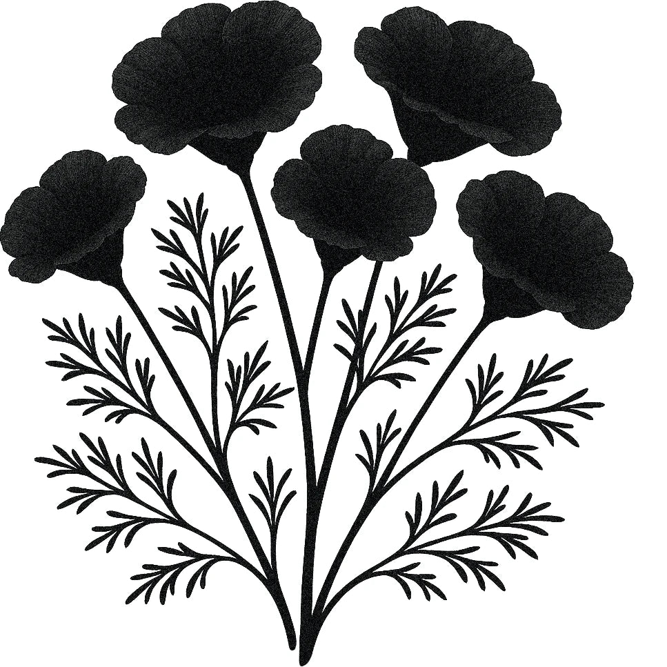 Black and white botanical illustration of a poppy plant with five delicate, cup-shaped flowers on long stems and finely divided, feathery leaves.